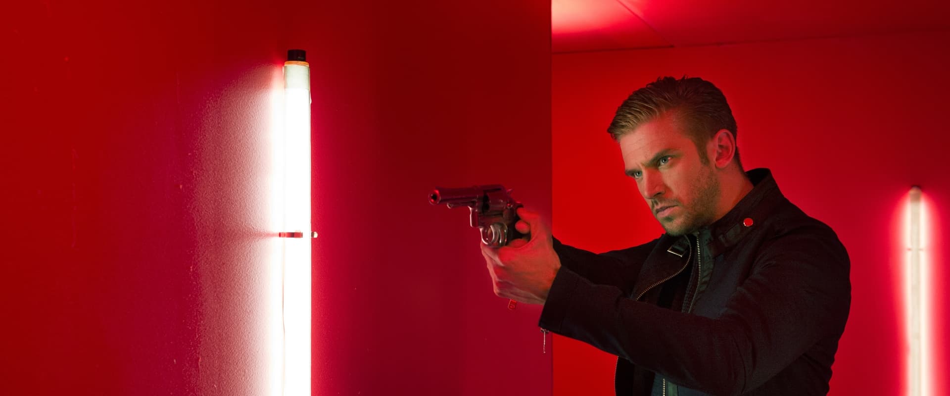 The Guest 2014