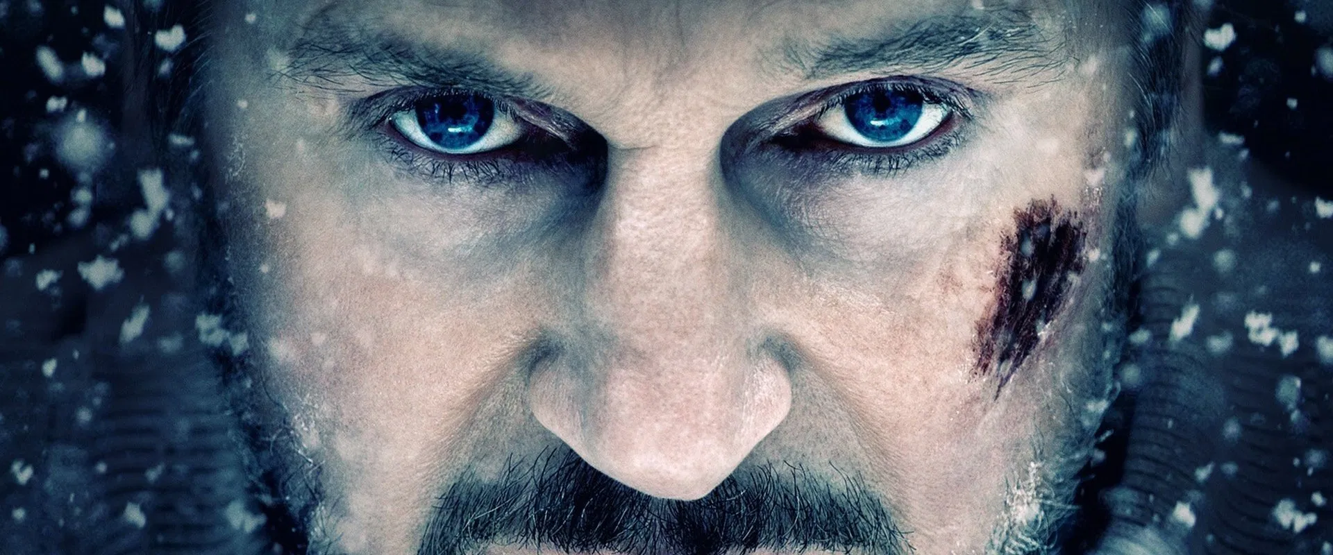 The Grey 2011