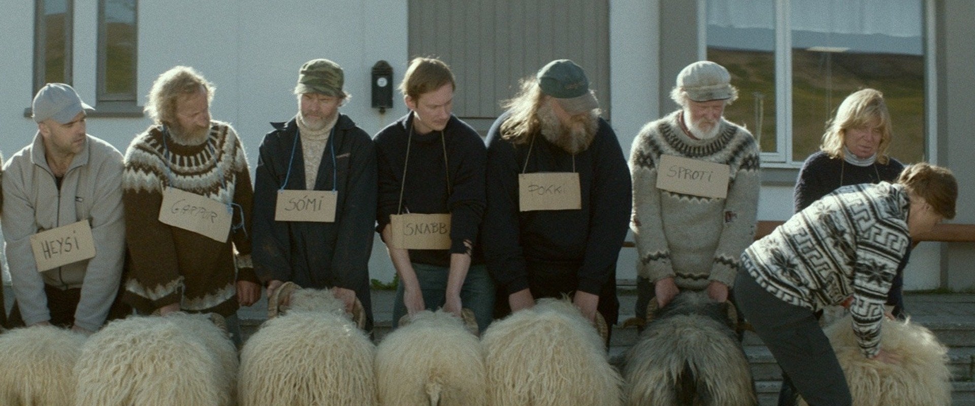 Rams 2015