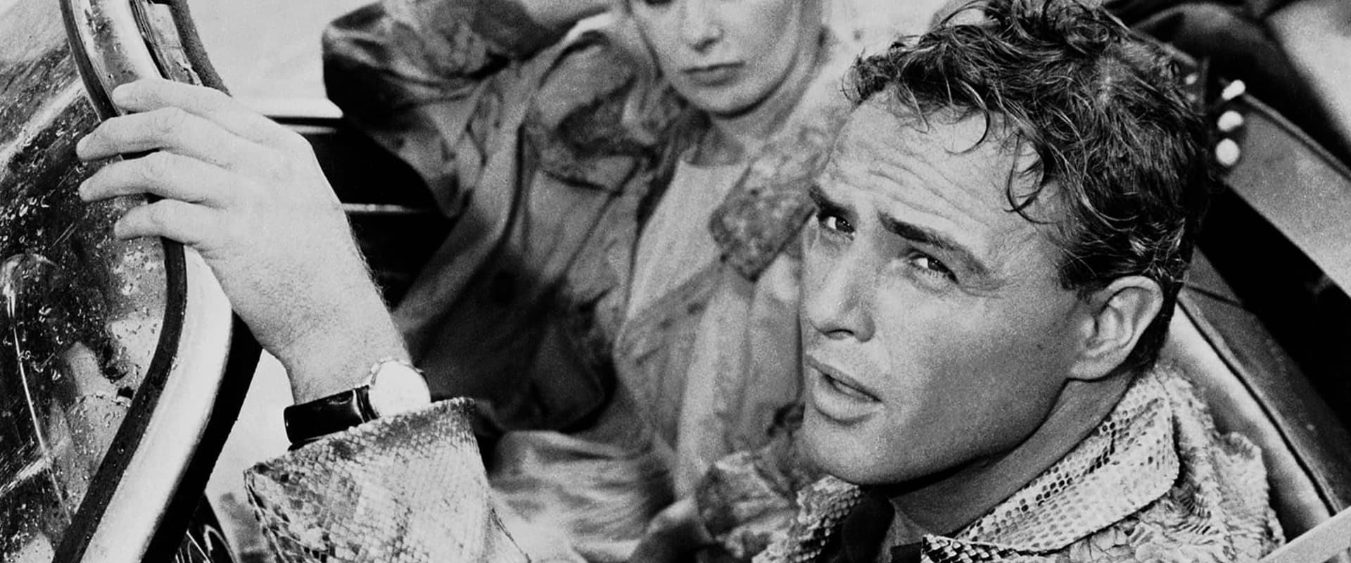 The Fugitive Kind 1960