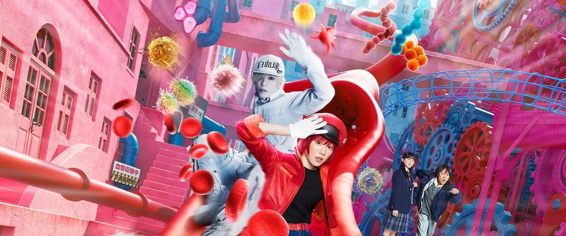 Cells at Work! 2024